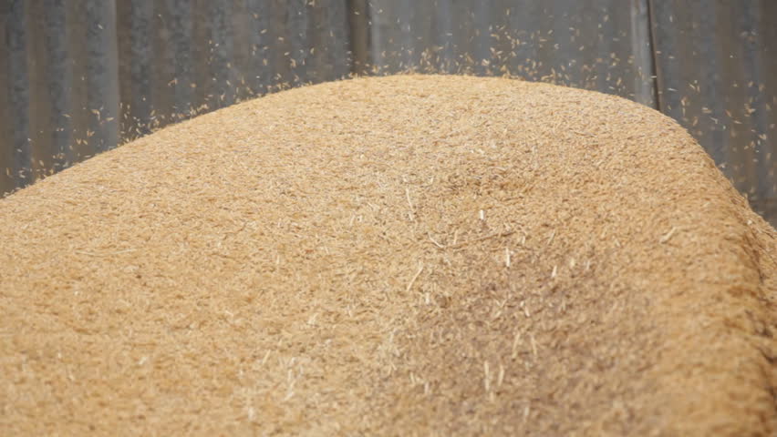 Dewan Rice Dewan Organic & Natural Minerals